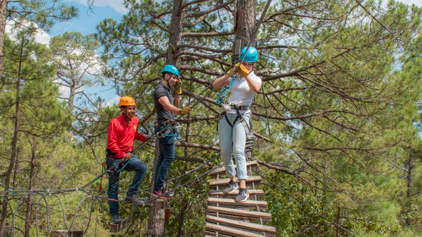 bosque aereo parque de aventura