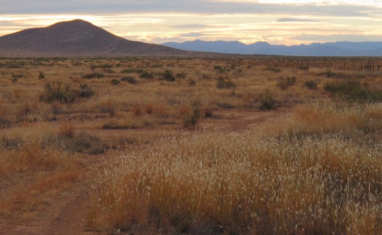 viajes en tren chepe