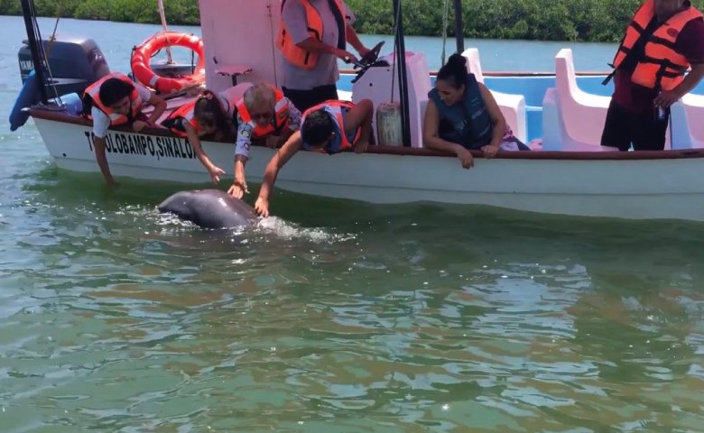 viajes en tren chepe