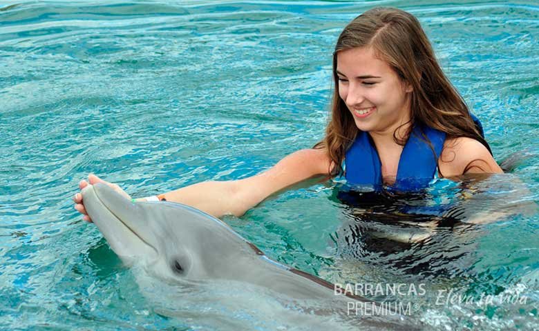 viajes a barrancas del cobre y los cabos